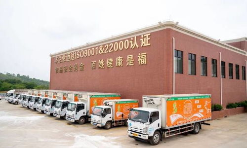 廣東羅定天溪冷鏈物流產地倉一期項目正式動工，助力海淘物流升級