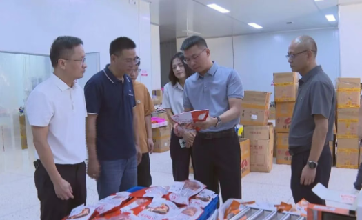 縣長(zhǎng)調(diào)研電商及口岸經(jīng)濟(jì)工作，聚焦海淘物流發(fā)展新路徑